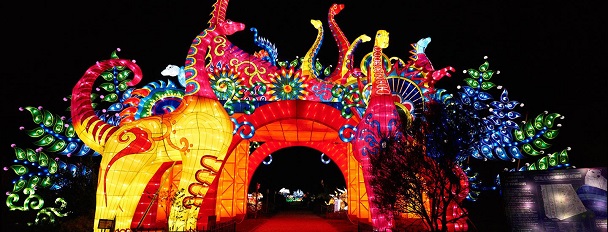 Hôtel Appia - Festival des lumières